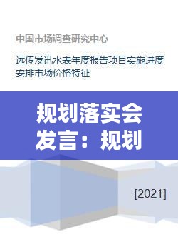 规划落实会发言：规划落实情况报告 