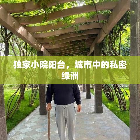 独家小院阳台，城市中的私密绿洲
