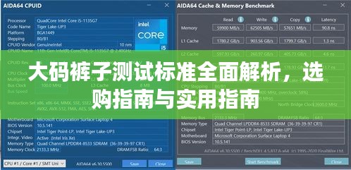 大码裤子测试标准全面解析，选购指南与实用指南