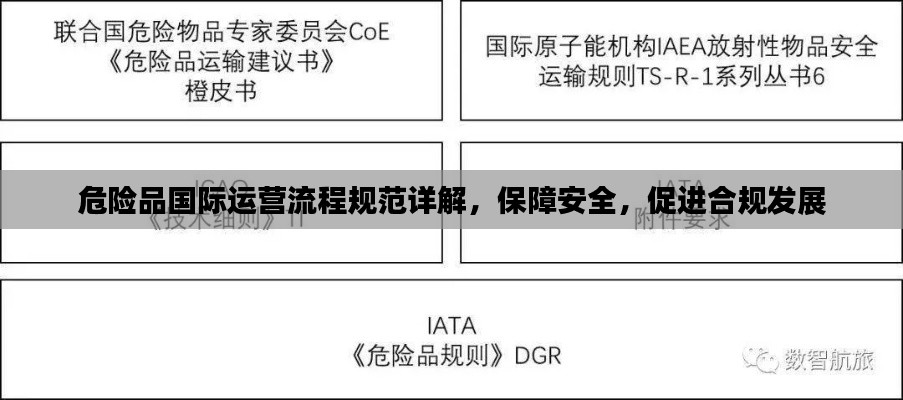 危险品国际运营流程规范详解，保障安全，促进合规发展