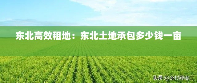 东北高效租地：东北土地承包多少钱一亩 