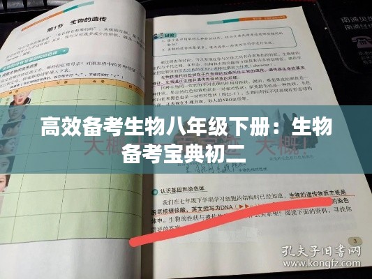 鸟飞兔走 第2页