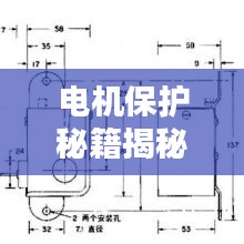 举世无双 第2页