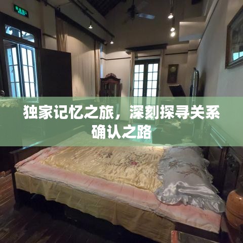 独家记忆之旅，深刻探寻关系确认之路