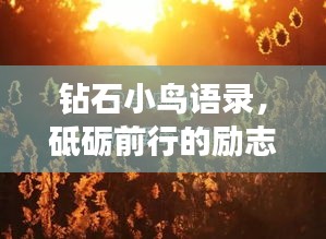 钻石小鸟语录，砥砺前行的励志力量