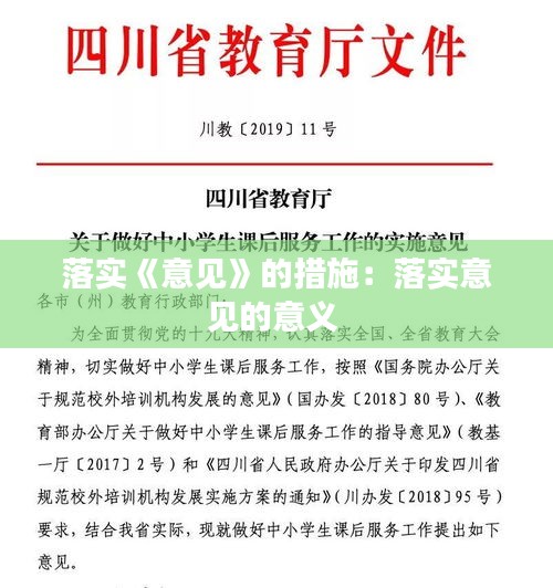 落实《意见》的措施：落实意见的意义 