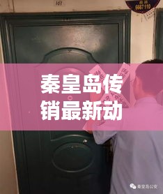 秦皇岛传销最新动态揭秘，今日最新消息一网打尽