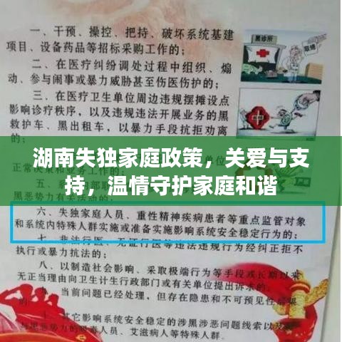 湖南失独家庭政策，关爱与支持，温情守护家庭和谐