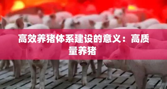高效养猪体系建设的意义：高质量养猪 