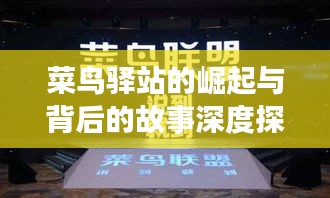 菜鸟驿站的崛起与背后的故事深度探索，蜕变之路
