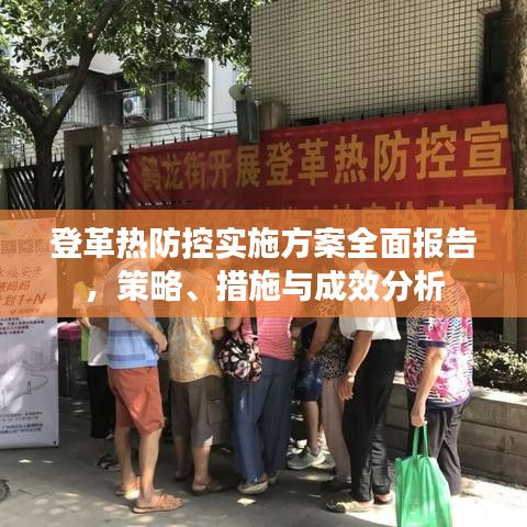 登革热防控实施方案全面报告，策略、措施与成效分析