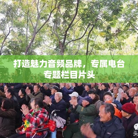 打造魅力音频品牌，专属电台专题栏目片头