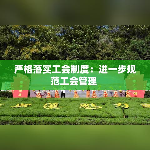 严格落实工会制度：进一步规范工会管理 