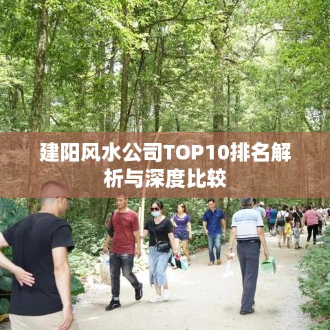 建阳风水公司TOP10排名解析与深度比较
