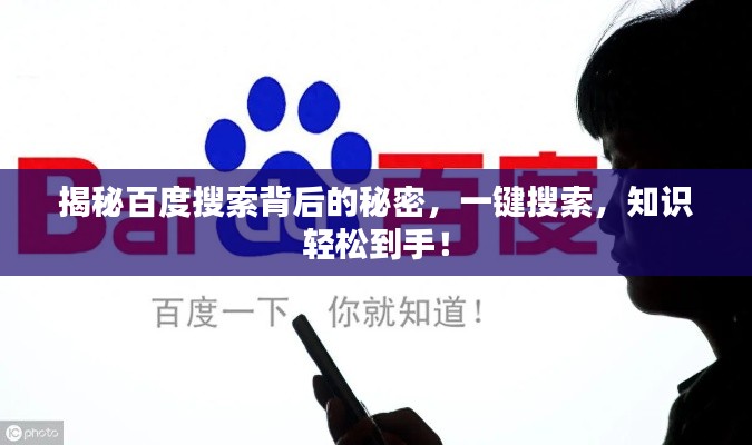 揭秘百度搜索背后的秘密，一键搜索，知识轻松到手！