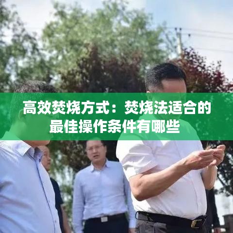高效焚烧方式：焚烧法适合的最佳操作条件有哪些 