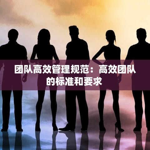 团队高效管理规范：高效团队的标准和要求 