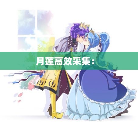 月莲高效采集： 