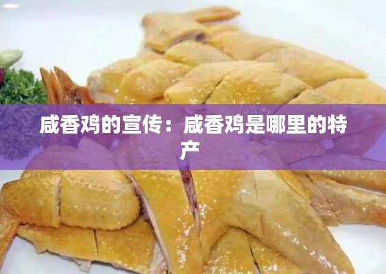 咸香鸡的宣传：咸香鸡是哪里的特产 