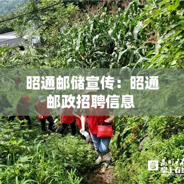 昭通邮储宣传：昭通邮政招聘信息 