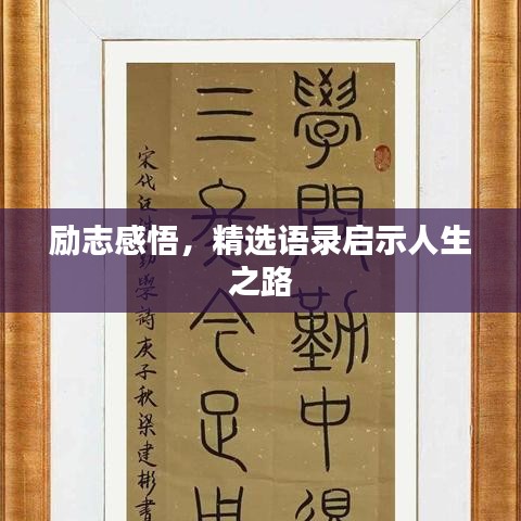 励志感悟，精选语录启示人生之路