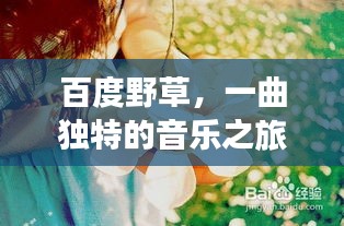 不求甚解 第2页