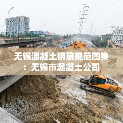 无锡混凝土钢筋规范图集：无锡市混凝土公司 