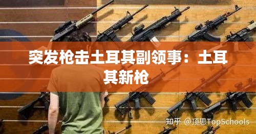 突发枪击土耳其副领事：土耳其新枪 