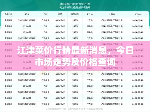 江津菜价行情最新消息，今日市场走势及价格查询