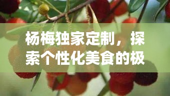 杨梅独家定制，探索个性化美食的极致魅力之旅