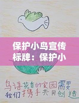 保护小鸟宣传标牌：保护小鸟宣传标牌画画图片 