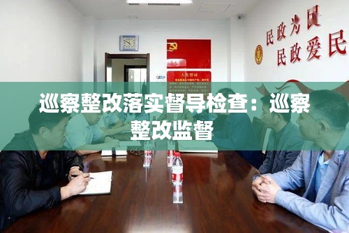 巡察整改落实督导检查：巡察整改监督 