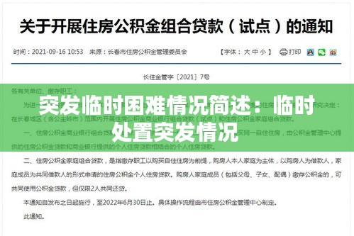 突发临时困难情况简述：临时处置突发情况 
