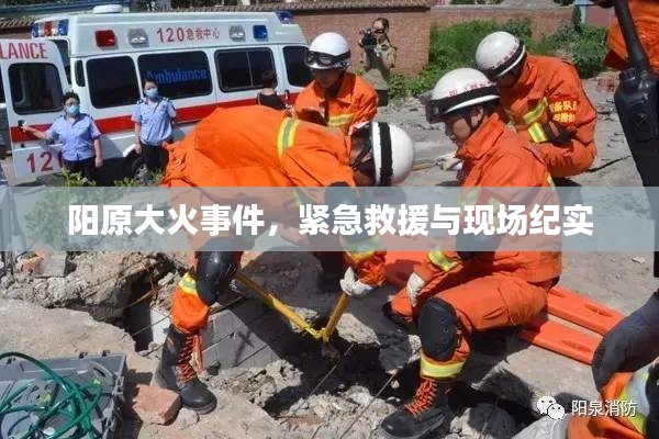 阳原大火事件，紧急救援与现场纪实