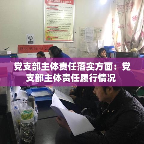 党支部主体责任落实方面：党支部主体责任履行情况 