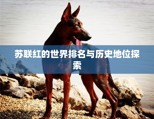 苏联红的世界排名与历史地位探索