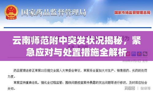 云南师范附中突发状况揭秘，紧急应对与处置措施全解析