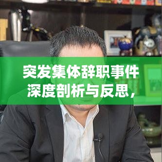 突发集体辞职事件深度剖析与反思，背后的原因与启示