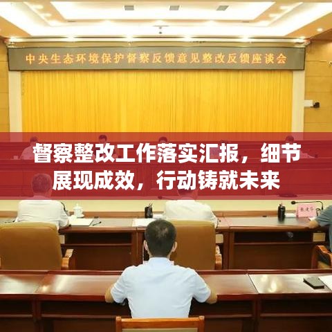 督察整改工作落实汇报，细节展现成效，行动铸就未来