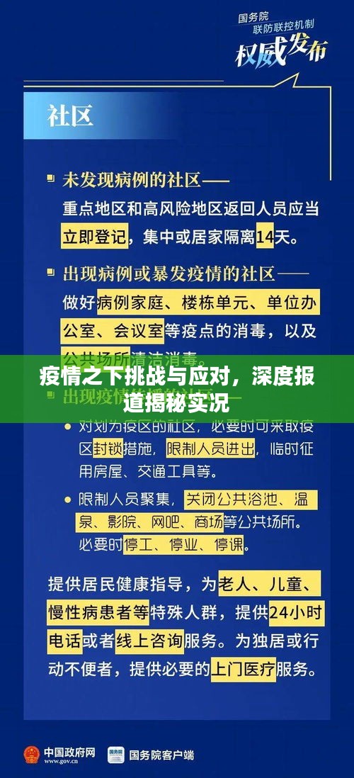 疫情之下挑战与应对，深度报道揭秘实况