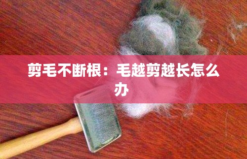 剪毛不断根：毛越剪越长怎么办 