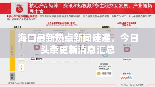 海口最新热点新闻速递，今日头条更新消息汇总
