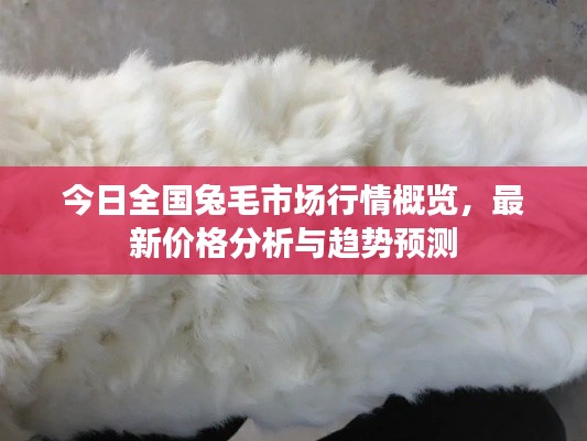 小家碧玉 第2页