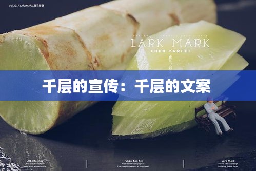 千层的宣传：千层的文案 