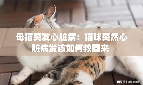 铁石心肠 第2页