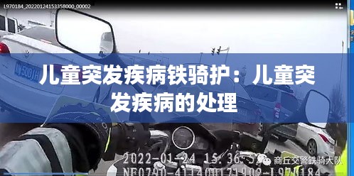 儿童突发疾病铁骑护：儿童突发疾病的处理 