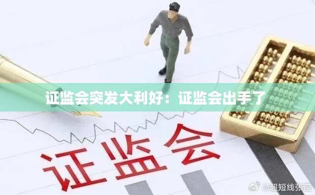 证监会突发大利好：证监会出手了 