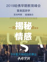 揭秘情感世界奥秘，探寻情感力量的深度影响