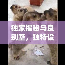 独家揭秘马良别墅，独特设计与优雅生活的完美融合