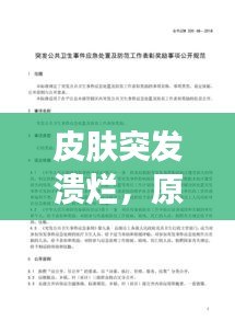 皮肤突发溃烂，原因解析、应急处理与预防策略